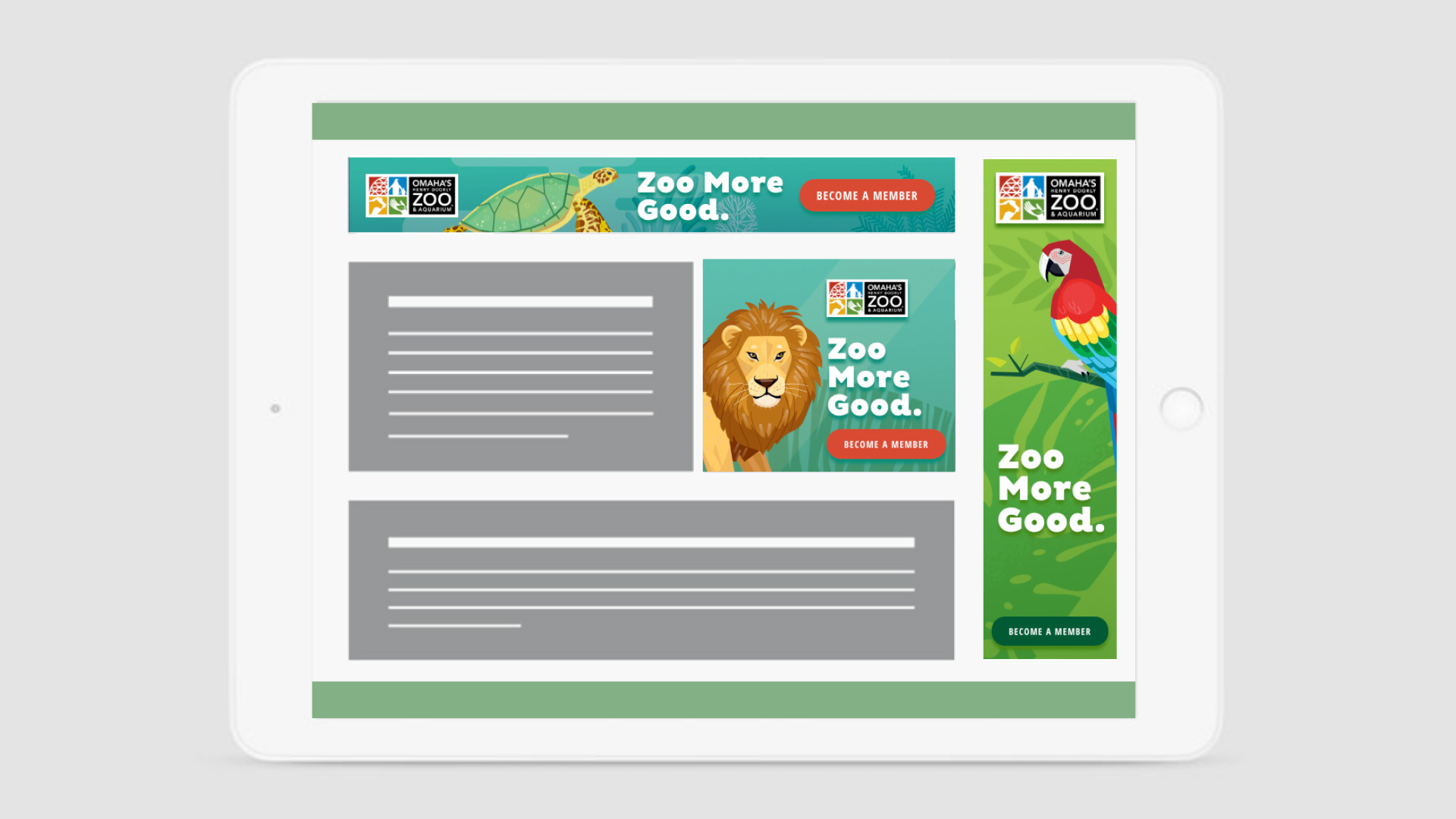 Zoo More Good Display Ads