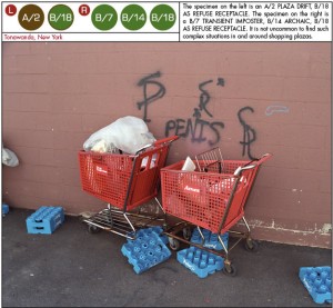 Shopping cart found near graffiti.