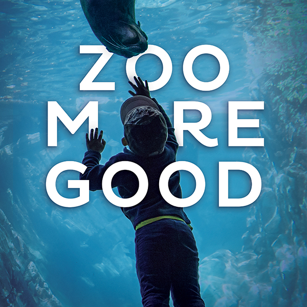 Omaha’s Henry Doorly Zoo & Aquarium – Membership Campaign